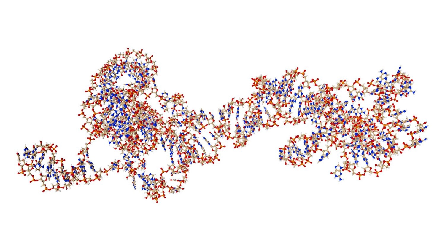 «الحمض النووي الريبي الطويل غير المشفَّر» مفتاح لعلاج الصرع والتوحد