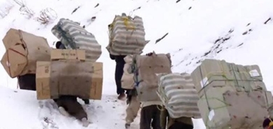 Kuştina Kolberên Kurd berdewame