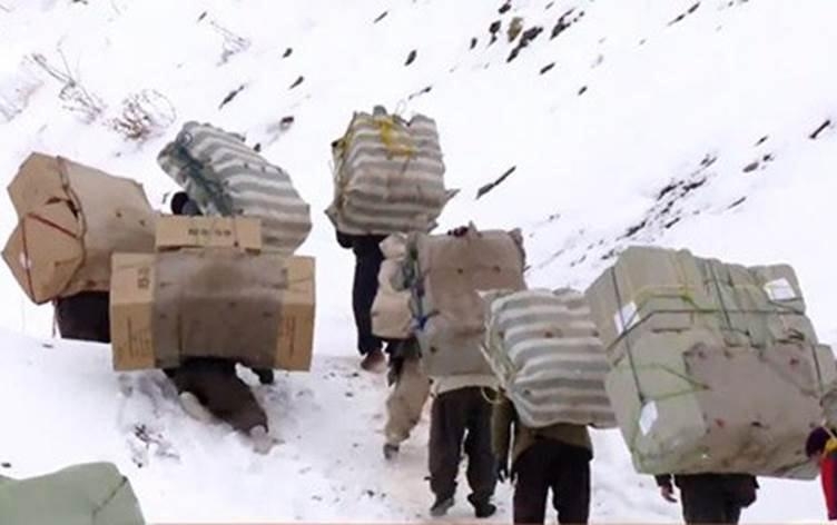 Kuştina Kolberên Kurd berdewame