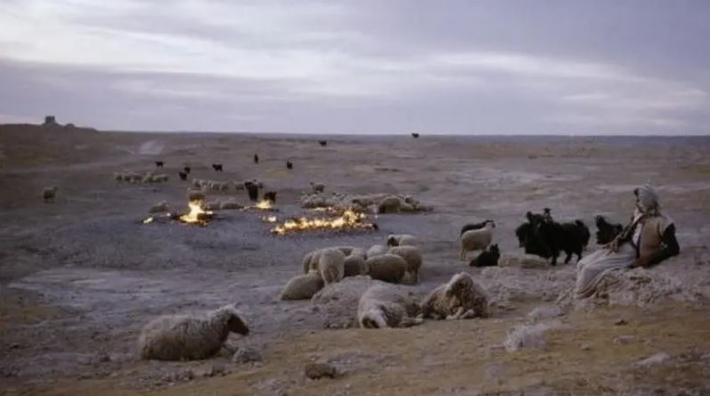 موقع 