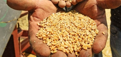 صرف 158 مليار دينار من مستحقات مزارعي إقليم كوردستان