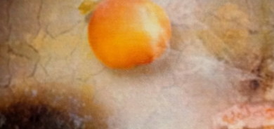 من المكتبة السينمائية الكوردية (17) فيلم ‹رائحة التفاح›