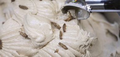 ئایس كرێمی بێزكەرەوە