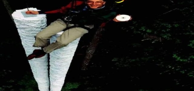 دیمەنە سەیرەكان، گیتس لەسەر ستوون