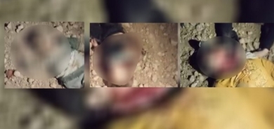 12 welatiyên medenî hatin kuştin