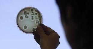 دراسة تحذر: حمى التيفوئيد أصبحت أكثر مقاومة للمضادات الحيوية