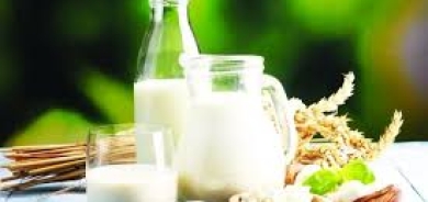 الحليب الخام أم المبستر... أيهما أكثر صحة؟