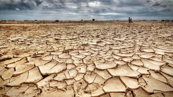 Pisporekî avê: Metirsiyeke cidî li ser sektora çandiniyê û çavkaniyên avê li Iraqê heye
