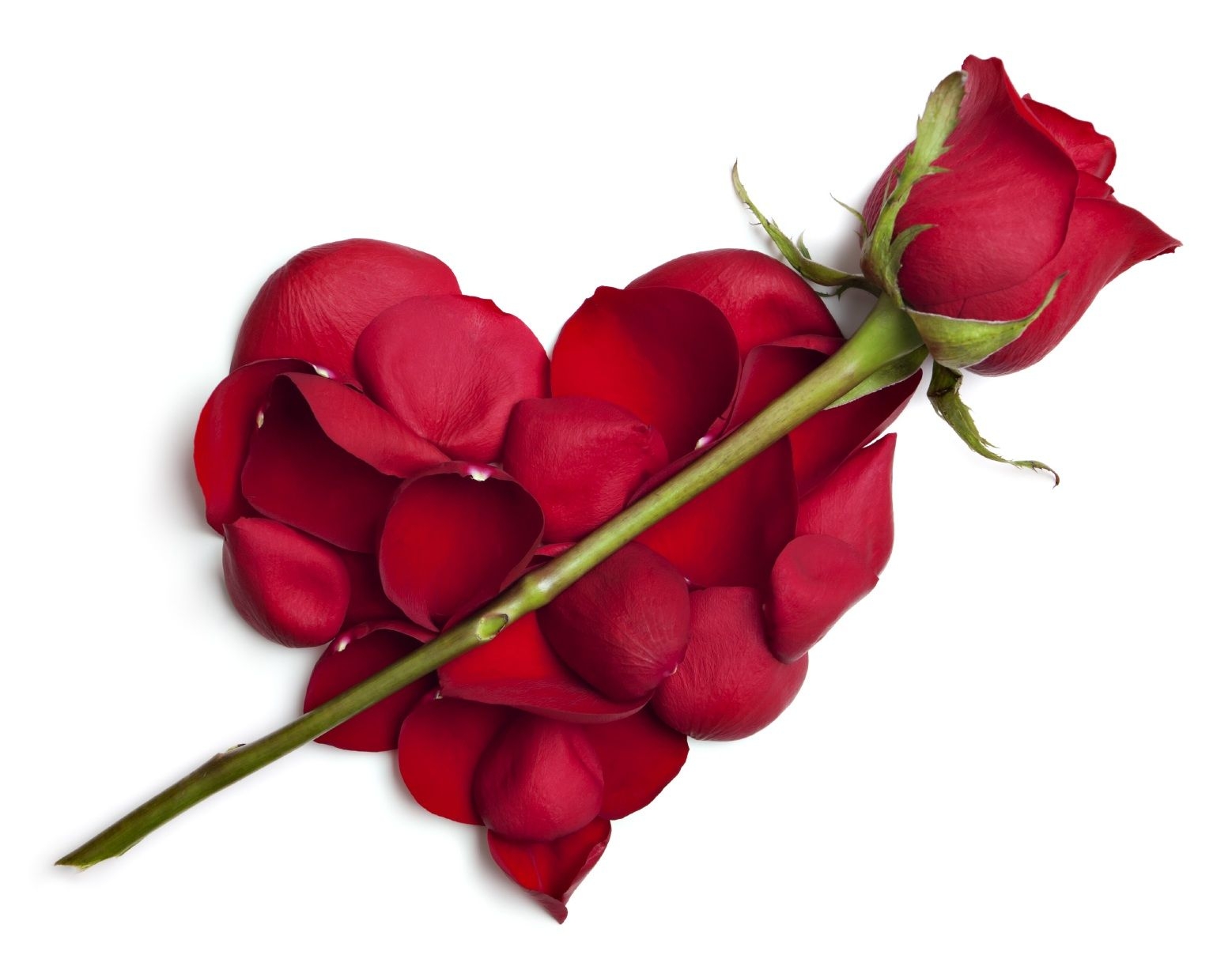 لــــە پێشوازی ڕۆژی جیهانیی خۆشەویستی  گەنجان باس لە كاڵبوونەوەی خۆشەویستی دەكەن