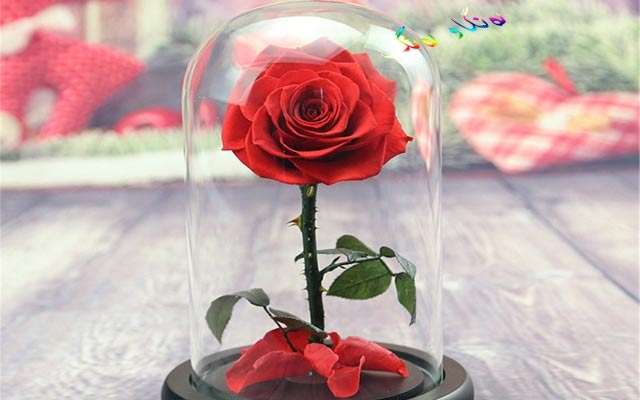 پیرنەبوونی گوڵەكان