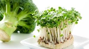 مركَّب في البروكلي للوقاية من السكري