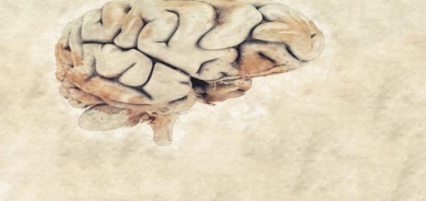 خۆت لە جەلتەی مێشك بپارێزە!