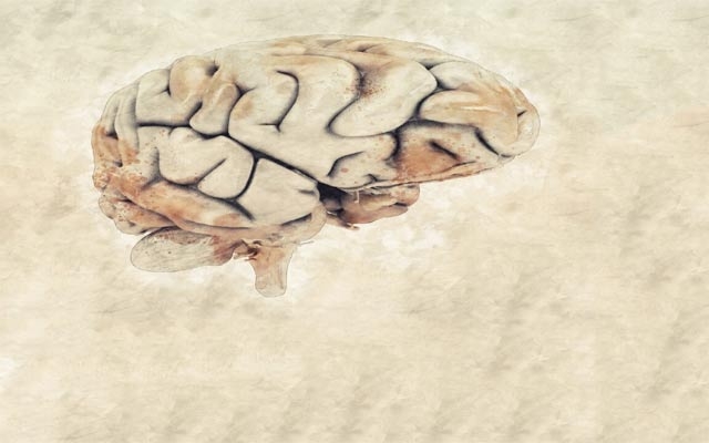 خۆت لە جەلتەی مێشك بپارێزە!