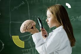 تغيرات الشخصية البشرية… ما دور علم الأعصاب في فهمها؟