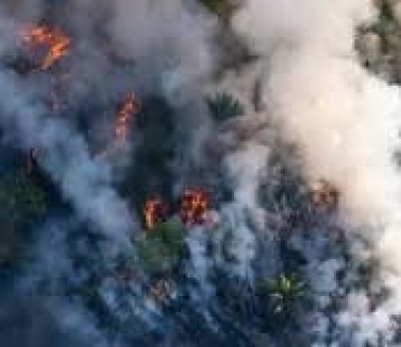 ئاگرێكی گەورە لە دارستانەکانی ژاپۆن بڵاوبووەوە، بووە هۆی چۆڵ کردنی ناوچەكە