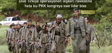 DEM Partî: Divê Tirkiye operasyonên leşkerî rawestîne heta ku PKK kongreya xwe lidar bixe