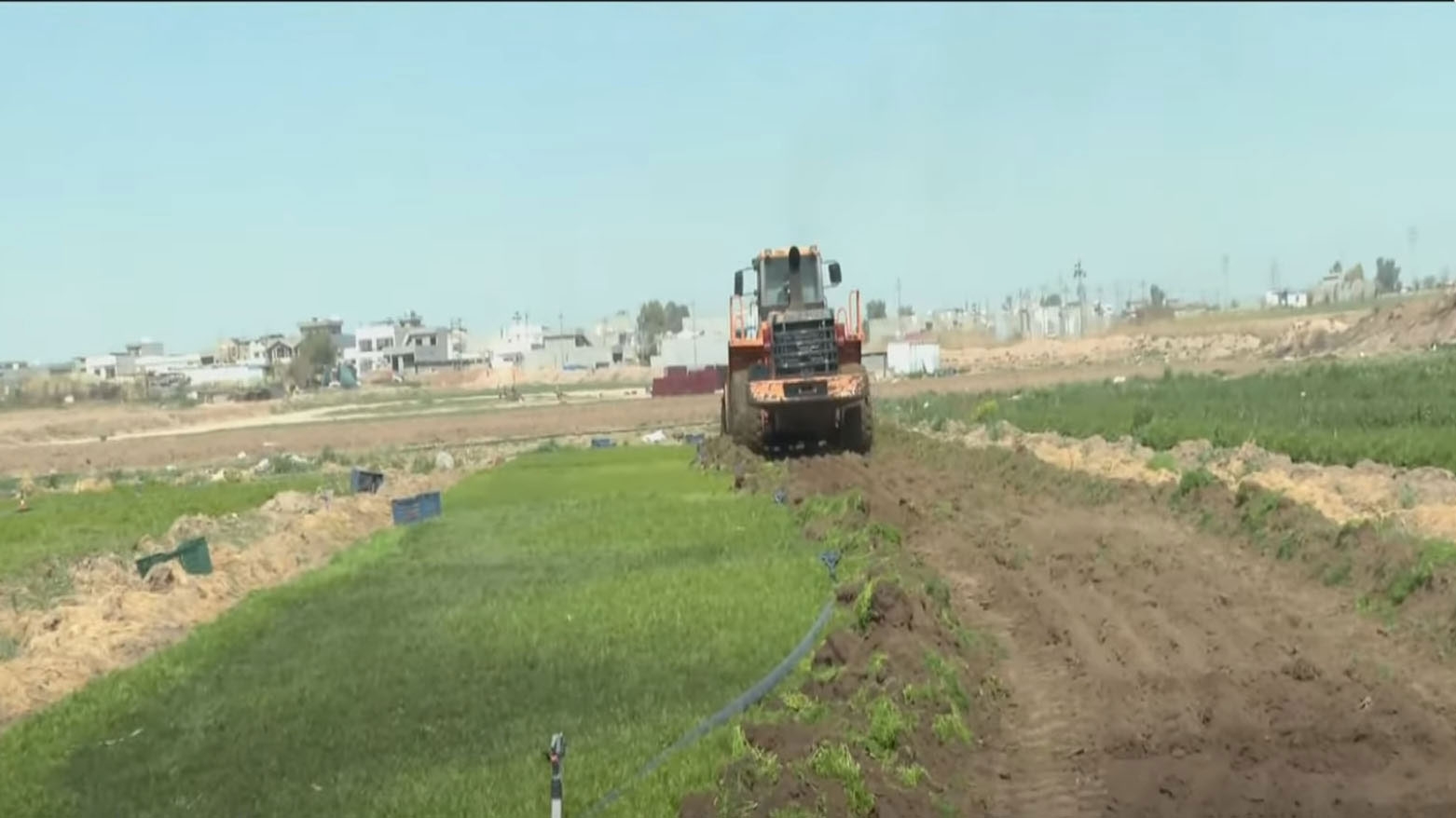 زراعة أربيل تزيل جميع الخضروات المروية بمياه ملوّثة