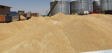 تجارة كوردستان تناقش مع بغداد كمية القمح المستلم من الإقليم