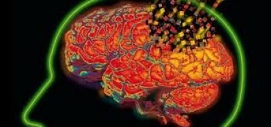 دراسة: المخ قد «يأكل نفسه» في أثناء ممارسة تمارين التحمل الشاقة