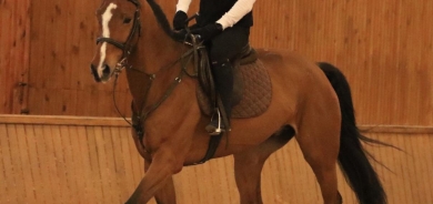 هەوڵدەدەم كۆرسی نێودەوڵەتی وەربگرم لە بواری ڕاهێنانی ئەسپدا