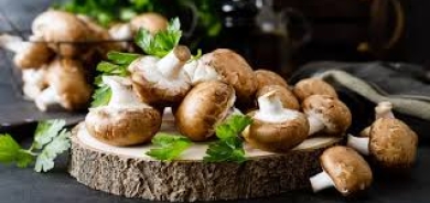 4 حقائق صحية تدعوك إلى تناول الفطر