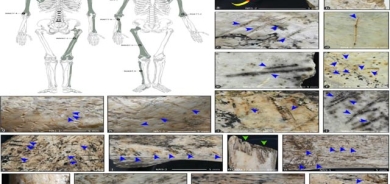 ئاسەواری خۆخۆریی مرۆڤەكان