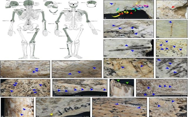 ئاسەواری خۆخۆریی مرۆڤەكان
