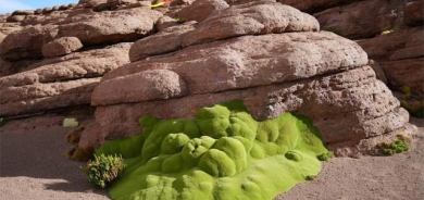 ڕووەك لە شێوەی پارچە قوماش