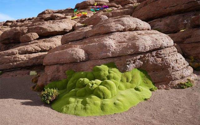 ڕووەك لە شێوەی پارچە قوماش