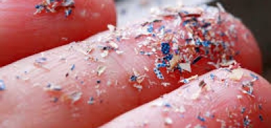 ما الذي تفعله الجسيمات البلاستيكية الدقيقة بأجسامنا؟