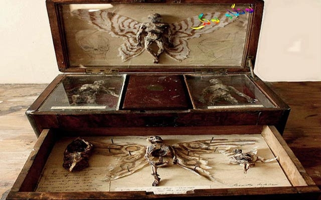 موزەخانەی جنۆكەكان