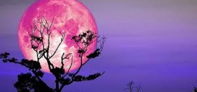 لماذا سُمي قمر شهر أبريل بالوردي رغم لونه الذهبي؟