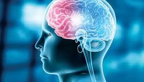 السكتة الدماغية... ما أعراضها؟ وكيف تحمي نفسك منها؟