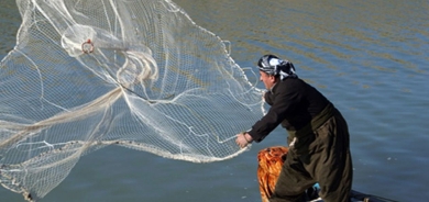 إقليم كوردستان يشدّد الرقابة على صيد الأسماك خلال موسم التكاثر