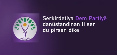 Serkirdetiya Dem Partiyê danûstandinan li ser du pirsan dike
