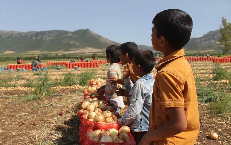 Li Tirkiye û Bakurê Kurdistanê 967 hezar zarok ji neçarî kar dikin