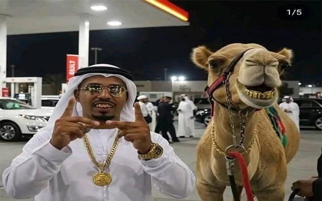 دیمەنە سەیرەكان، ددانی خۆی و وشترەكەی لە زێڕە