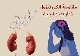 هل تعاني من ارتفاع مستمر في مستويات الكورتيزول؟ 5 طرق لمحاربة ذلك