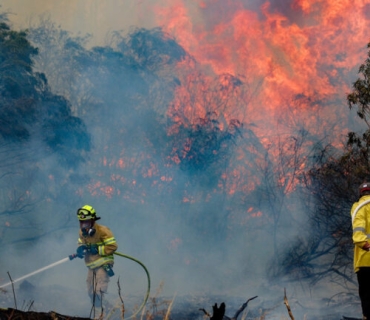 ئاگرێکی بەرفراوان لە شاخەکانی قودس کەوتەوە