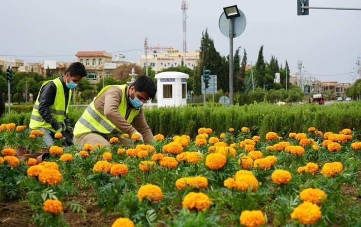 Erbil Municipality Launches Ambitious Green Spaces Initiative