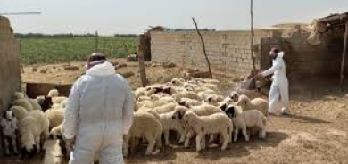 اقليم كوردستان يعلن تسجيل أول إصابة بالحمى النزفية