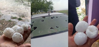 Semsûr: Teyroka libên wê bi qasî hêkan bariya