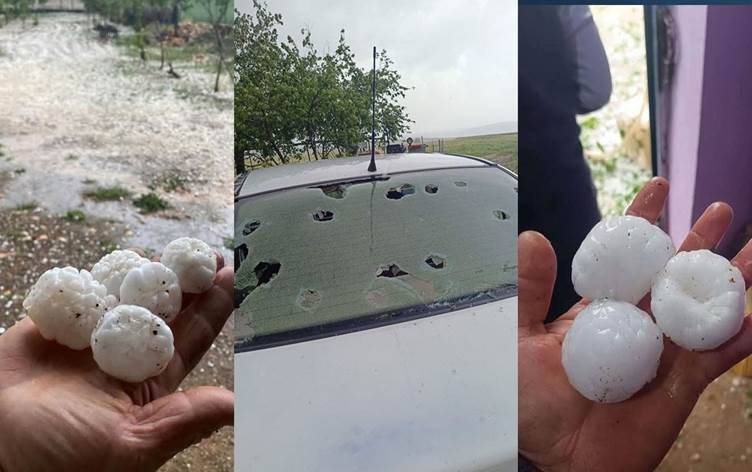 Semsûr: Teyroka libên wê bi qasî hêkan bariya
