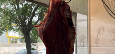 بعد تسجيله أول إصابة بالحمى النزفية.. إقليم كوردستان يتخذ إجراءات مشددة