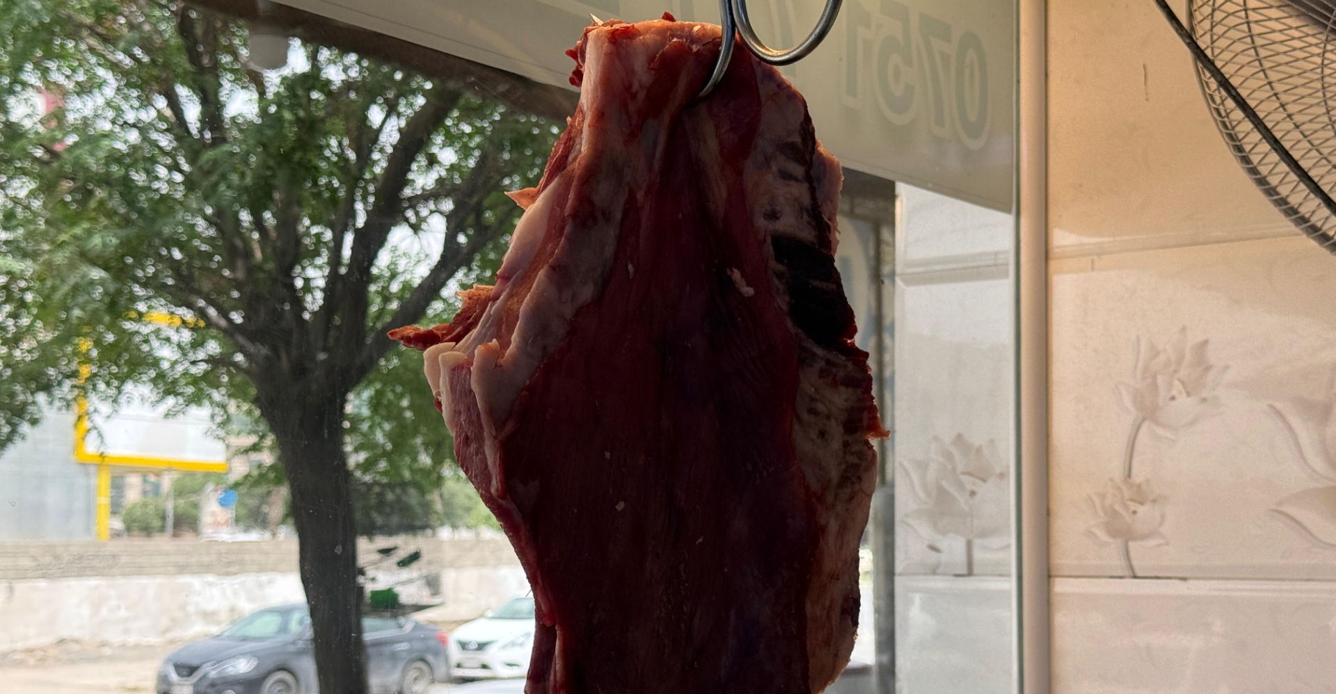 بعد تسجيله أول إصابة بالحمى النزفية.. إقليم كوردستان يتخذ إجراءات مشددة