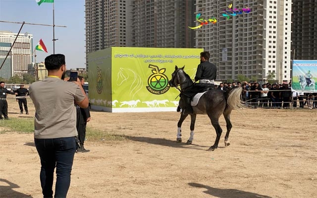 خولیای ئەسپسواری لە كوردستان