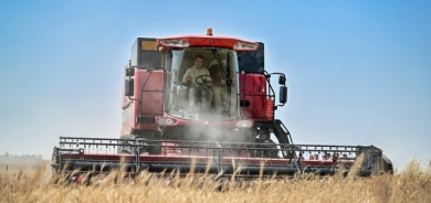 محافظ أربيل: ثورة إصلاحية غير مسبوقة في قطاع الزراعة خلال الكابينة التاسعة