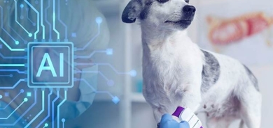 Şirketek dê hişê çêkirî ji bo fêmkirina zimanê heywanan bi kar bîne