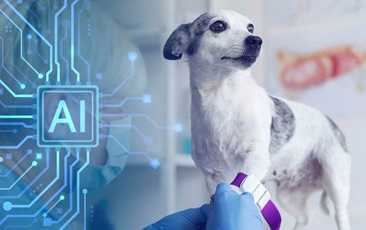 Şirketek dê hişê çêkirî ji bo fêmkirina zimanê heywanan bi kar bîne