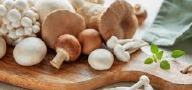 ما فوائد «الفطر السحري» لمرضى باركنسون؟